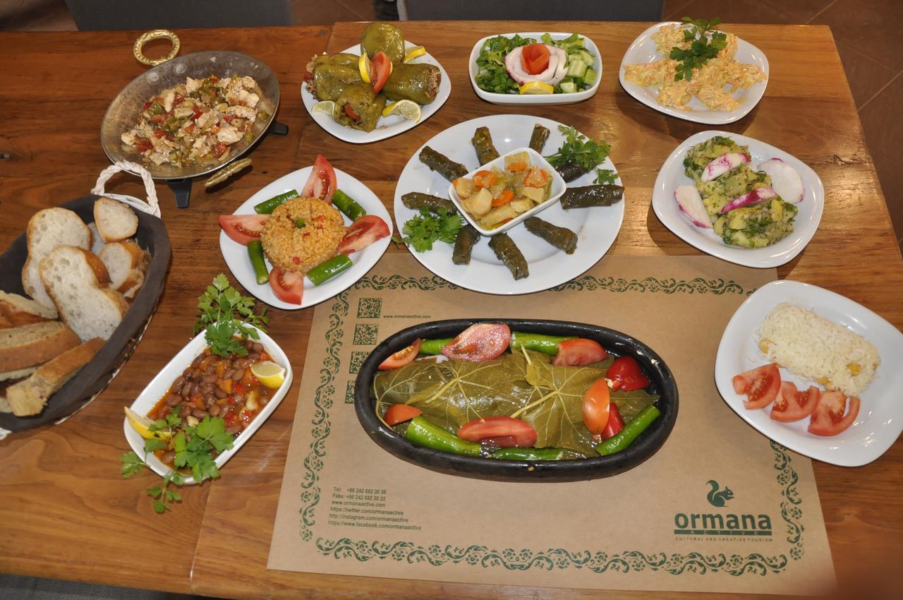 奥玛纳阿克迪夫布提克酒店 Ibradi 外观 照片